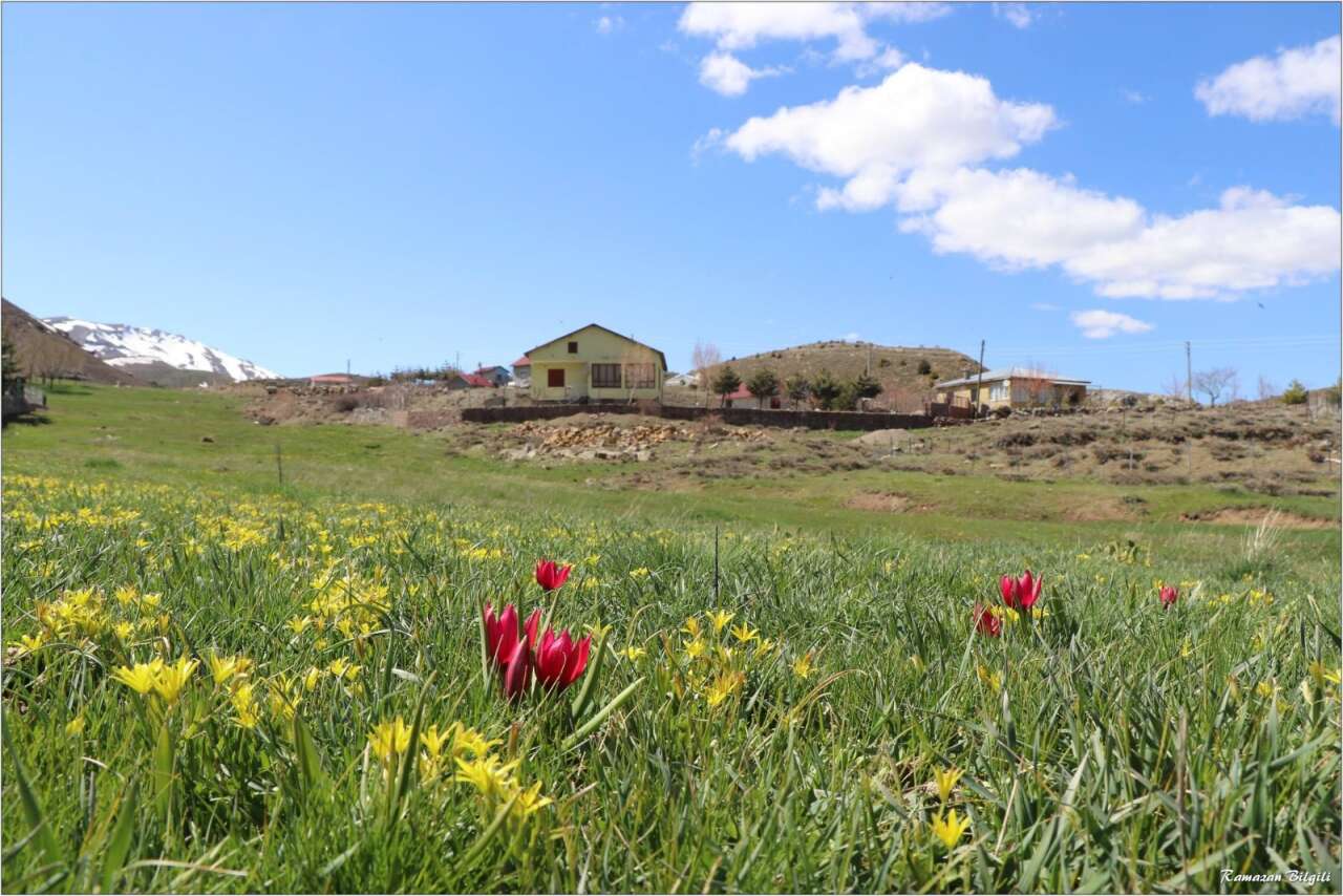 Konya’da doğa canlandı, kartpostallık bahar manzaraları çıktı 18